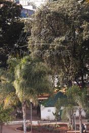 Image du Maroc Professionnelle de  Le sanctuaire du saint Sidi Bousmara est visité depuis longtemps par tous ceux qui sont atteint de la rage convergent vers ce lieu avec leurs offrandes et plante un clou sur l’arbre, ou sur le mur Est dans l’espoir d’une guérison. La légende raconte qu’un vieux pèlerin à la barbe blanche drapé de blanc frappa alors le sol avec son bâton et une source jaillit du sol. Il s’installe à Casablanca au milieu du cimetière et plante un caoutchouc qui devint rapidement gigantesque. Samedi 19 Février 2009. (Photo / Abdeljalil Bounhar)